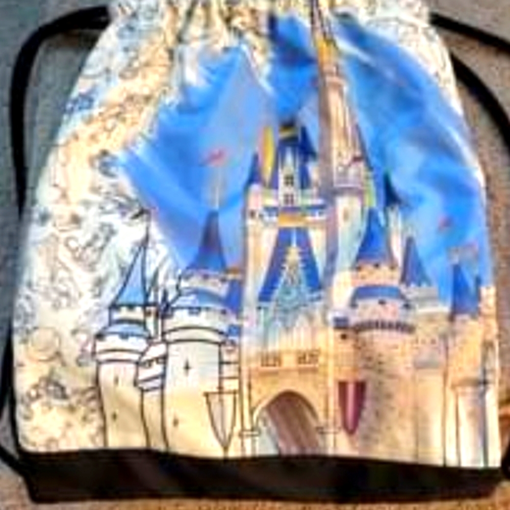 WALT DISNEY WORLD STRING BACK PACK
